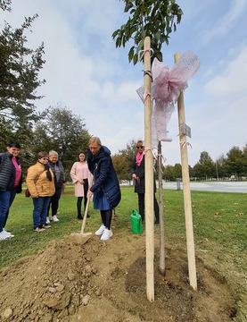 Rožnati oktober in zasaditev ¨rožnatega drevesa¨ tudi v Gornji Radgoni 2